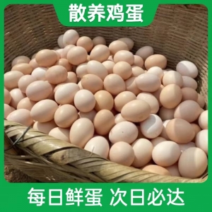 农家正宗土鸡蛋 新鲜自养草鸡蛋50枚/箱顺丰包邮散养鸡蛋